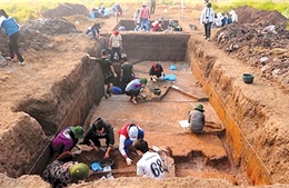 Cần xây dựng hồ sơ công nhận di tích cho khu khảo cổ Vườn Chuối